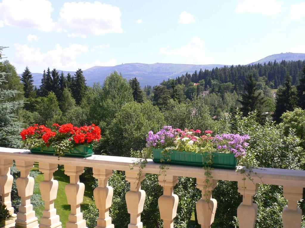 Hotel Villa Romantica Sklářská Poruba Exteriér fotografie