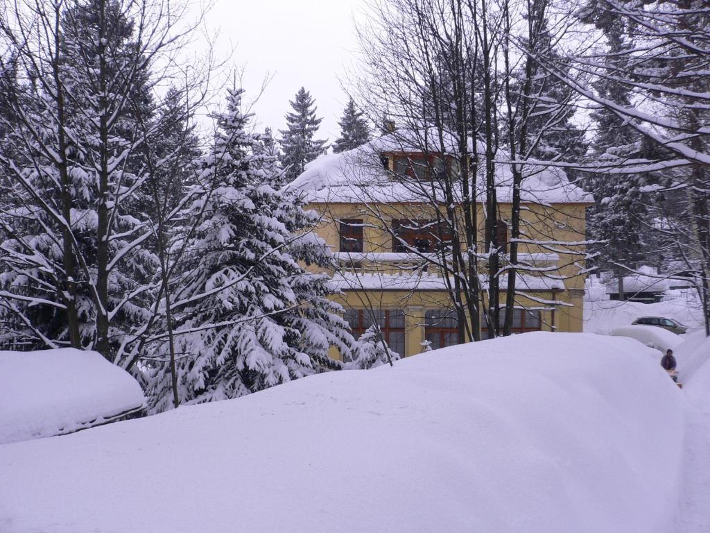 Hotel Villa Romantica Sklářská Poruba Exteriér fotografie