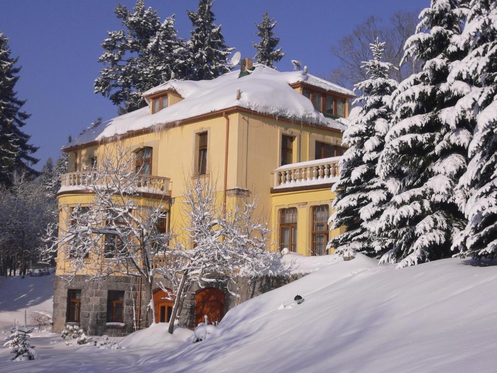 Hotel Villa Romantica Sklářská Poruba Exteriér fotografie