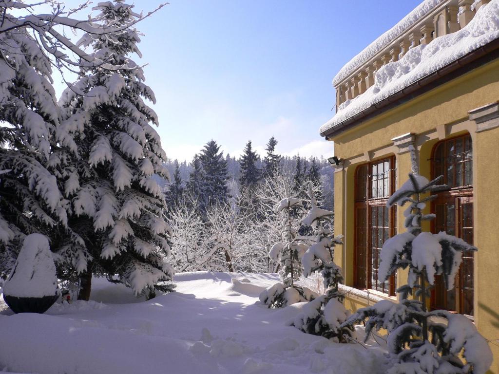 Hotel Villa Romantica Sklářská Poruba Exteriér fotografie